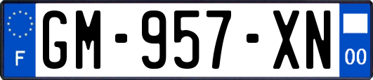 GM-957-XN