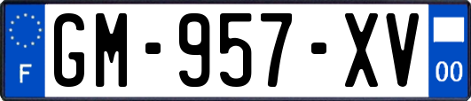 GM-957-XV