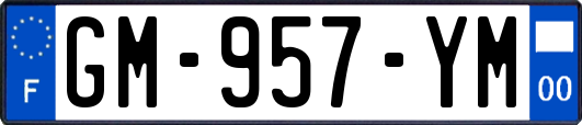 GM-957-YM