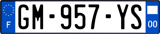 GM-957-YS
