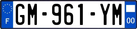 GM-961-YM