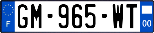 GM-965-WT