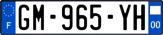 GM-965-YH