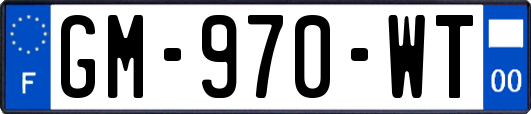 GM-970-WT