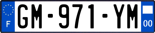GM-971-YM