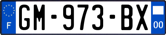 GM-973-BX