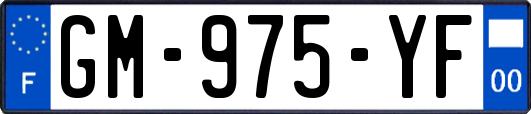 GM-975-YF