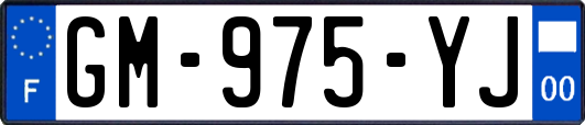 GM-975-YJ
