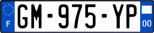 GM-975-YP