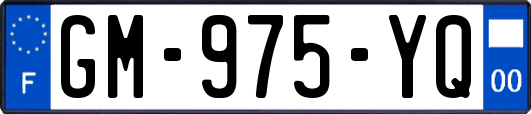 GM-975-YQ