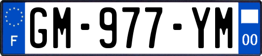 GM-977-YM