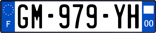 GM-979-YH