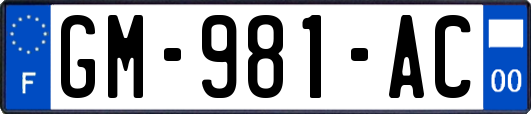 GM-981-AC