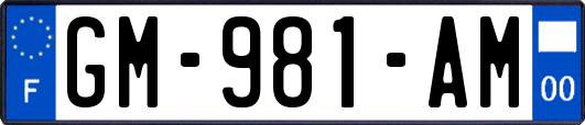 GM-981-AM