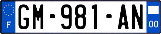 GM-981-AN