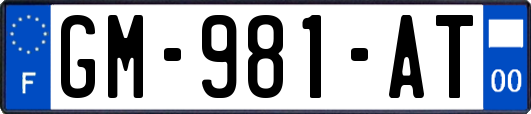 GM-981-AT