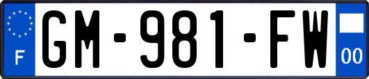 GM-981-FW