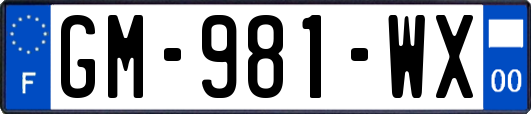 GM-981-WX