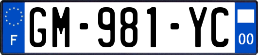 GM-981-YC