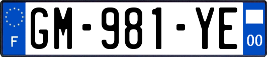 GM-981-YE