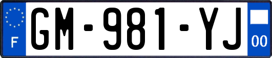 GM-981-YJ