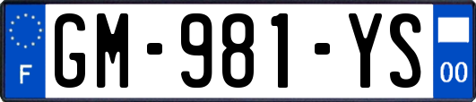 GM-981-YS
