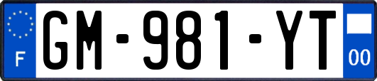 GM-981-YT