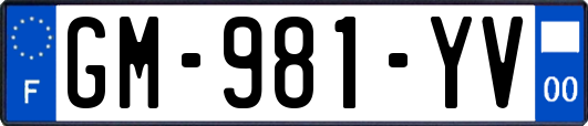 GM-981-YV