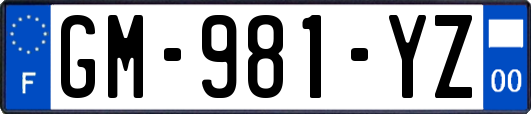 GM-981-YZ