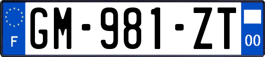 GM-981-ZT