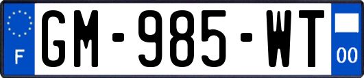 GM-985-WT
