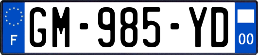 GM-985-YD