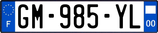 GM-985-YL