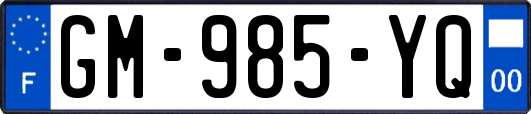 GM-985-YQ