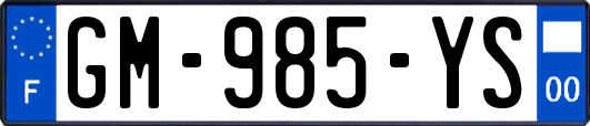 GM-985-YS