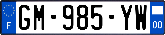 GM-985-YW