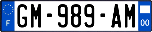GM-989-AM