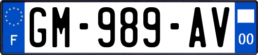 GM-989-AV