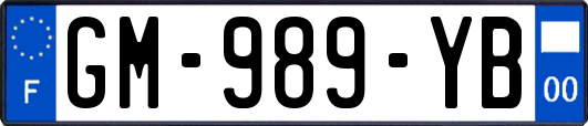 GM-989-YB
