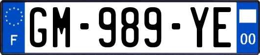 GM-989-YE