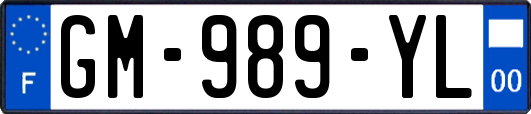 GM-989-YL