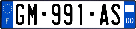 GM-991-AS