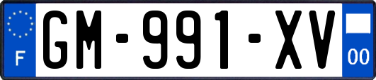 GM-991-XV