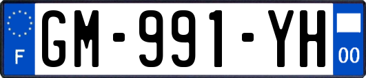 GM-991-YH