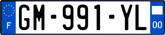 GM-991-YL