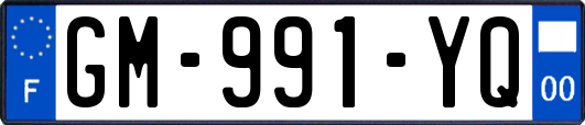 GM-991-YQ
