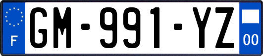 GM-991-YZ