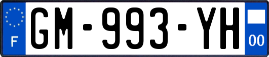 GM-993-YH