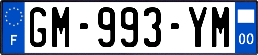 GM-993-YM