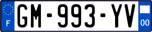 GM-993-YV
